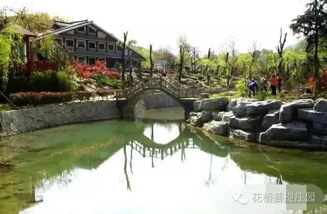 這個周末，隴南康縣花橋有大事要發(fā)生？