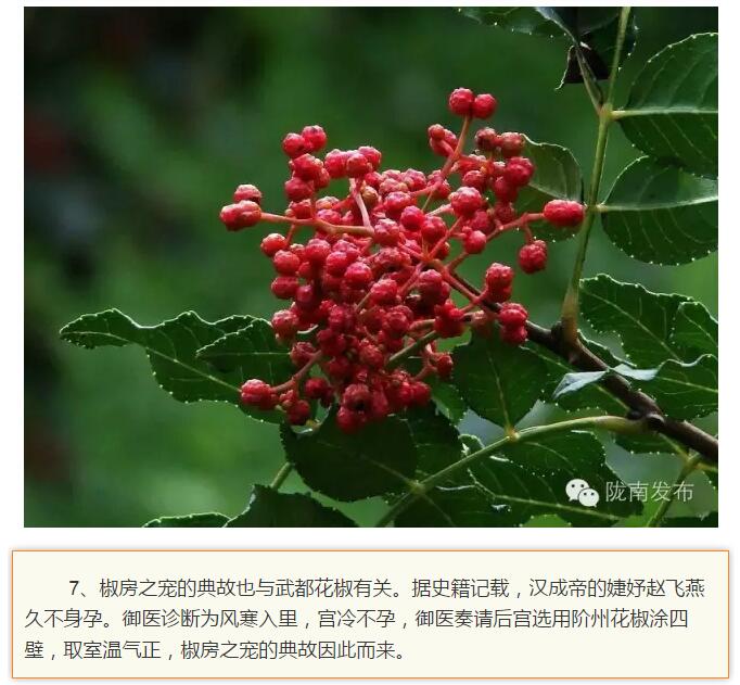 蘭渝鐵路最早由孫中山先生提出？在隴南，你不知道的事兒還有……