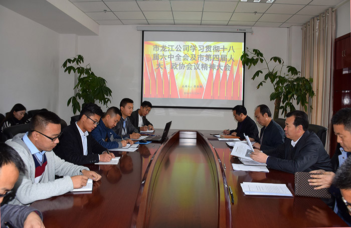 市龍江公司召開全體員工大會，專題傳達學習上級會議精神