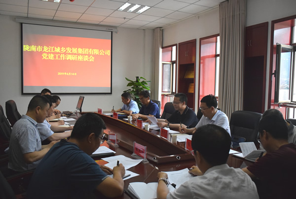 隴南市委常委、組織部部長(zhǎng)楊郃調(diào)研指導(dǎo)市龍江城鄉(xiāng)發(fā)展集團(tuán)公司黨建工作